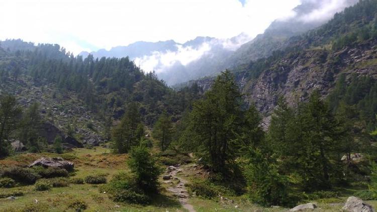 Sentiero per il rifugio Battaglione Alpini Monte Granero